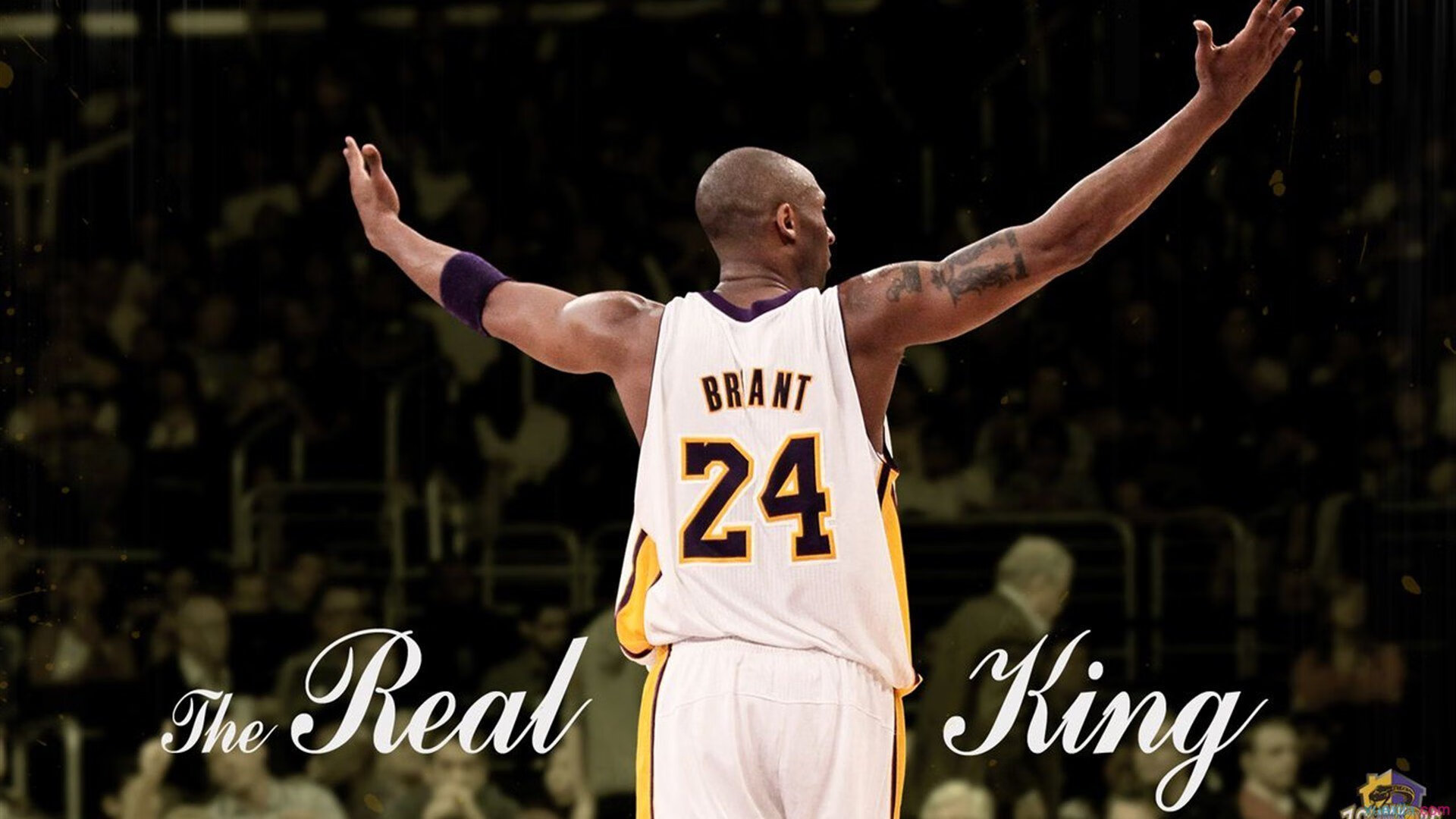 “极速王者：谁能问鼎赛季冠军？”，极速王者在哪